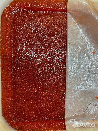 Красная икра кеты, улов июнь 2023