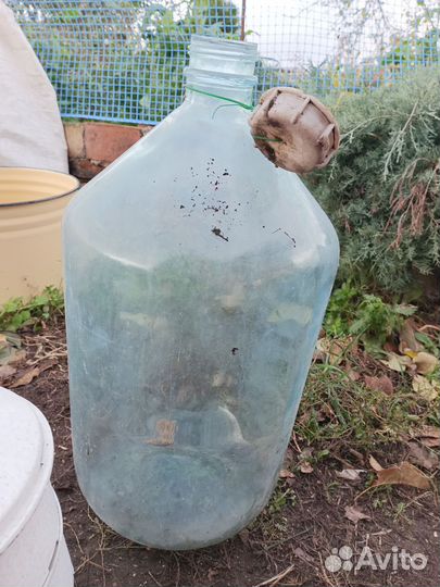 Лоток для транспортировки ягод