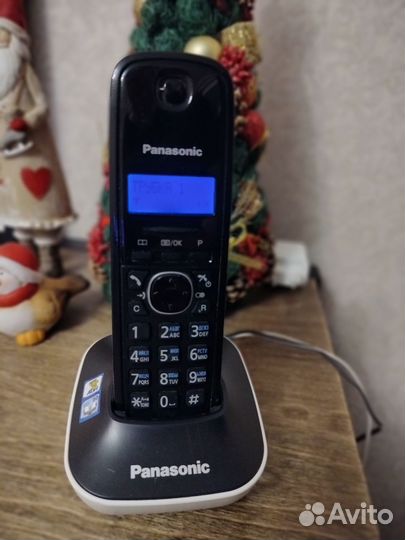 Panasonic