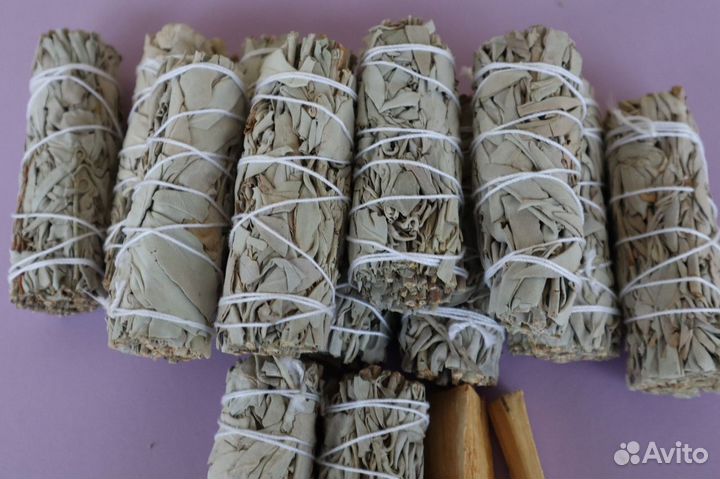 Шалфей Калифорнийский от 20шт опт для Ozone