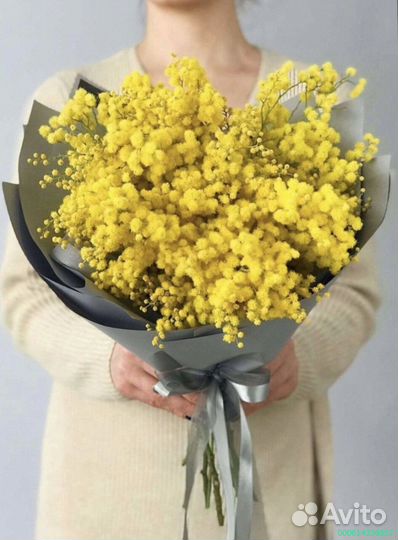 Букеты из мимозы (Арт.90942)