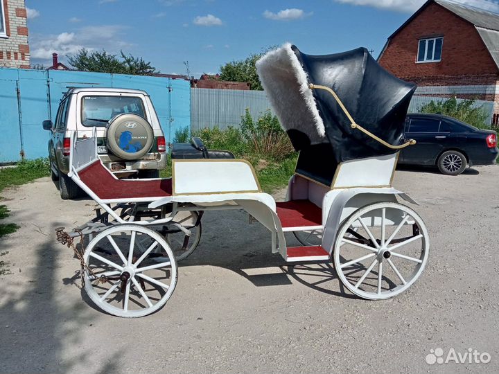 Конный экипаж