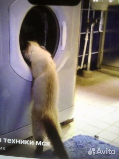 Ремонт стиральных машин частный мастер