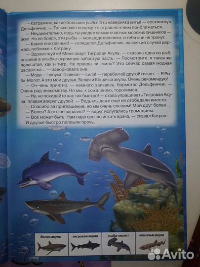 Приключения Дельфинчика. Приключения Орлёнка