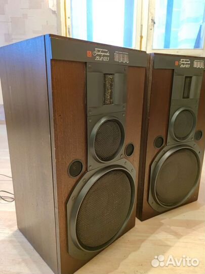 Колонки Электроника 25ас033