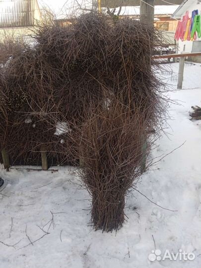 Веники для подмитание