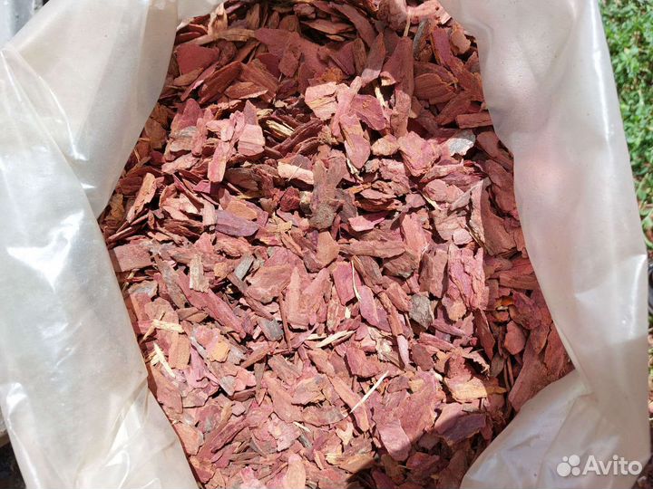 Кора лиственницы