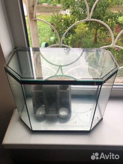 Аквариум