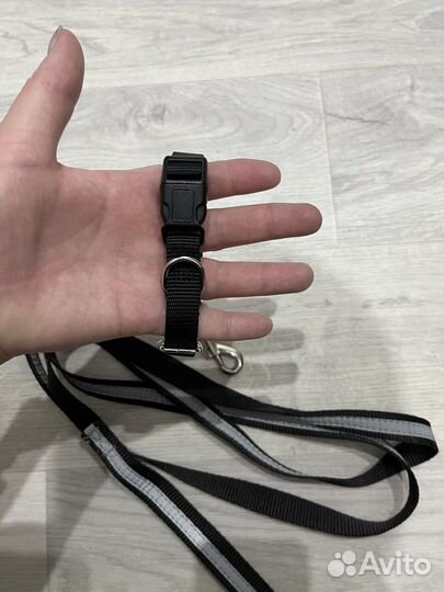 Ошейник и поводок для собак