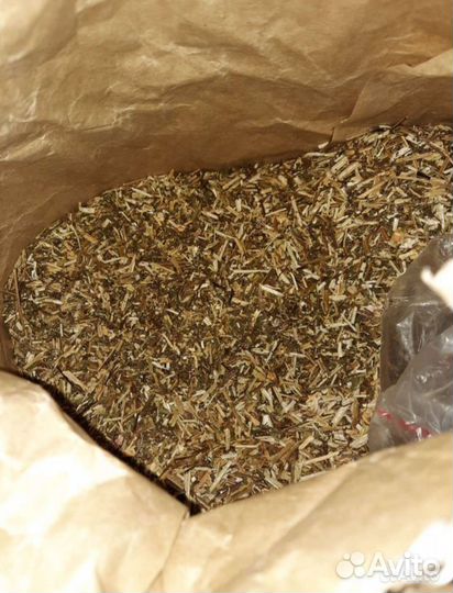 Череда резаная