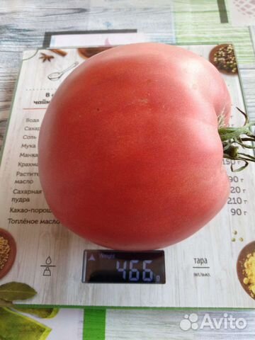 Семена помидоров томатов