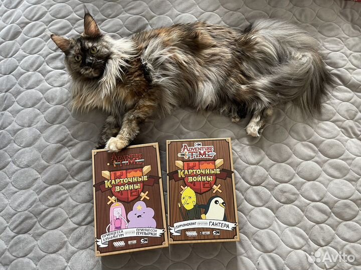 Настольная игра Время приключений