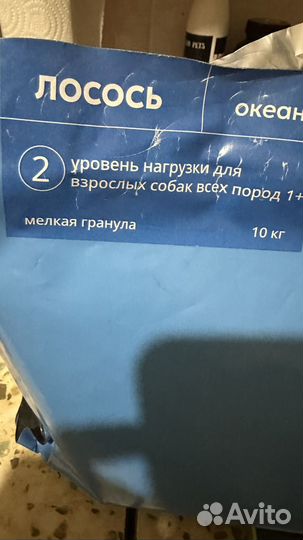 Корм для собак