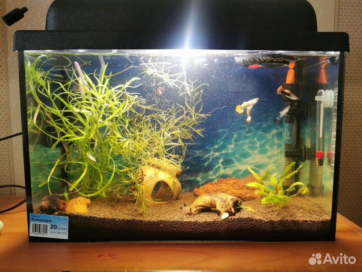 Аквариум с рыбками