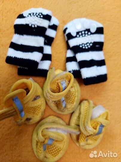 Шпиц уход, игрушка