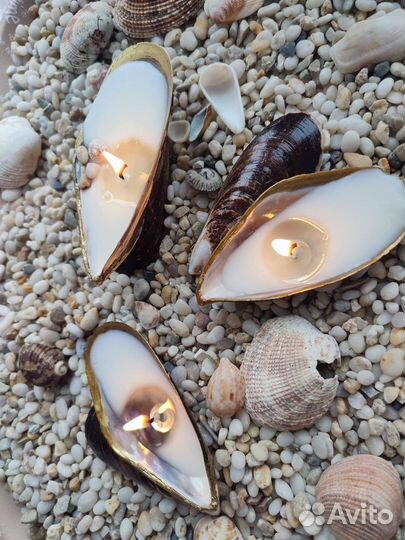 Свеча в ракушке. Свечи в морской тематике