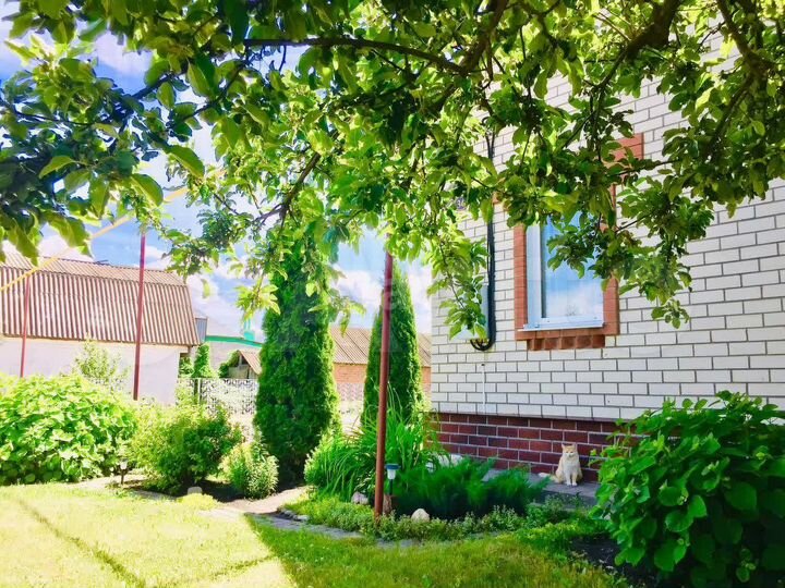 Дом 80 м² на участке 22 сот.