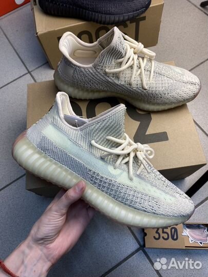 Кроссовки Adidas Yeezy Boost 350