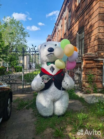 Проведение праздников