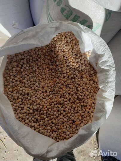 Горох,Пшеница,кукуруза,овёс, ячмень