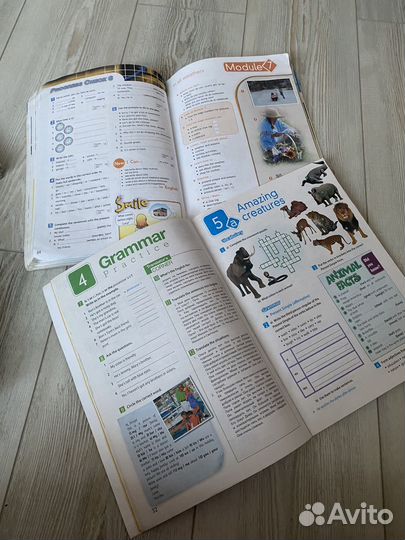 Учебники 5 класс