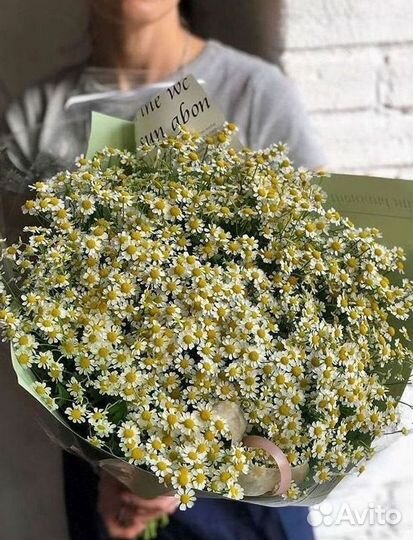 Букеты ромашек