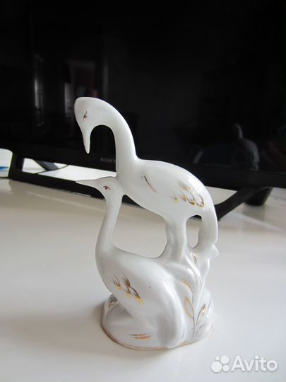 Цапли Хайта