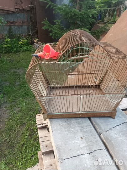 Клетка для волнистого попугая