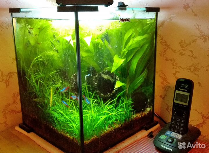 Аквариум нано 30 л. aquael