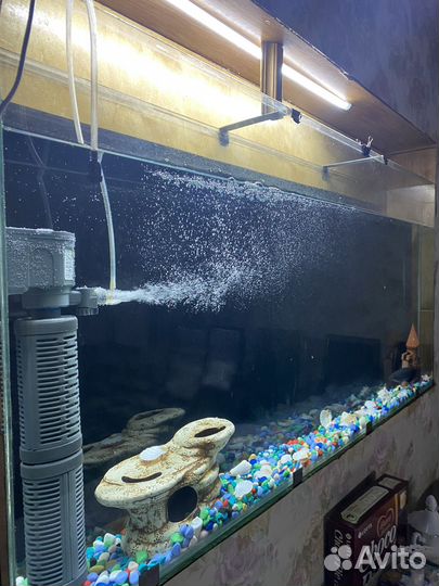Аквариум с рыбками