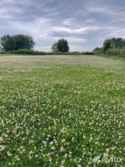 Культивация земли,устройство газона