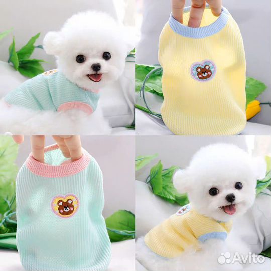 Одежда для собак мелких пород