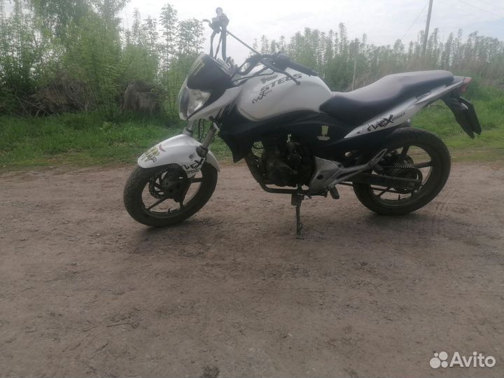 Мотоцикл Stels Flex250