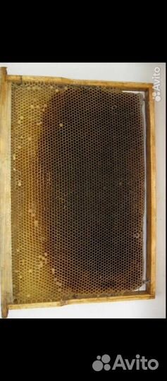 Улей для пчел ППУ