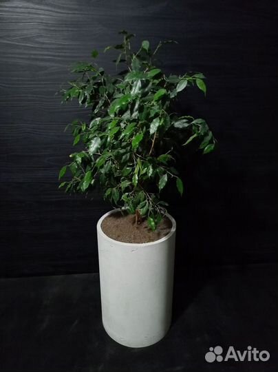 Вазоны, Горшки, Кашпо под заказ из бетона