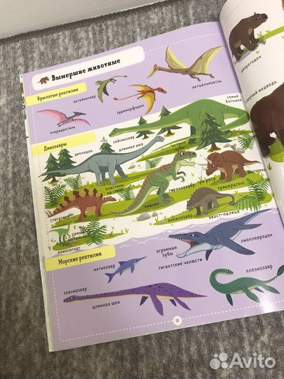 Книга-виммельбух от Clever про животных