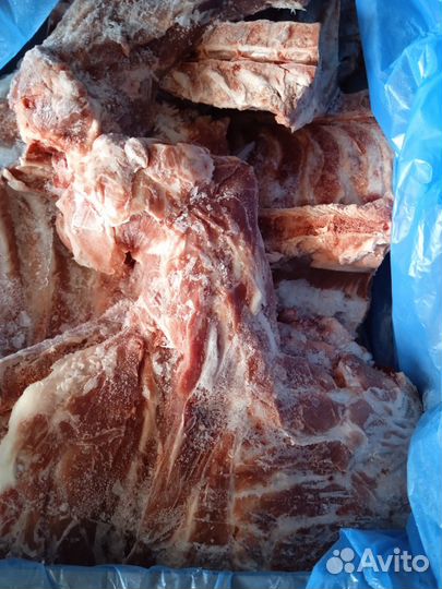 Мясо свинина