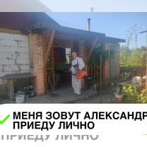 Уничтожение тараканов, клопов Дезинфекция под ключ