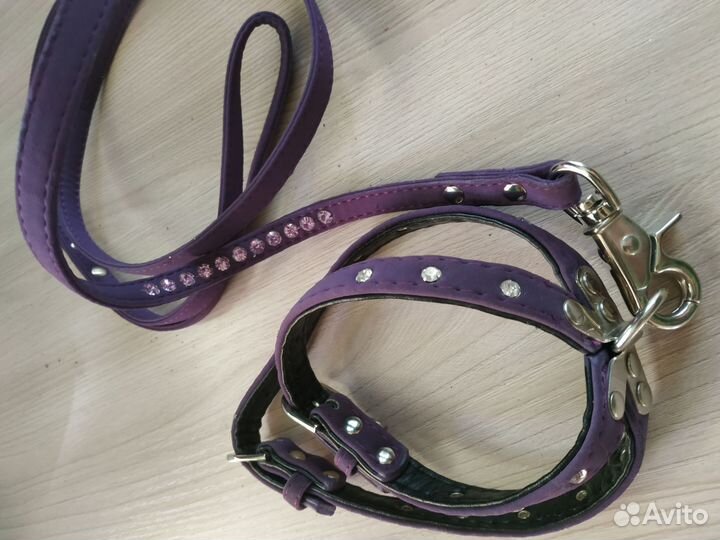 Ошейник и шлейка с поводком