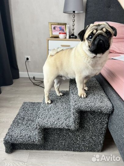 Лесенка для собак