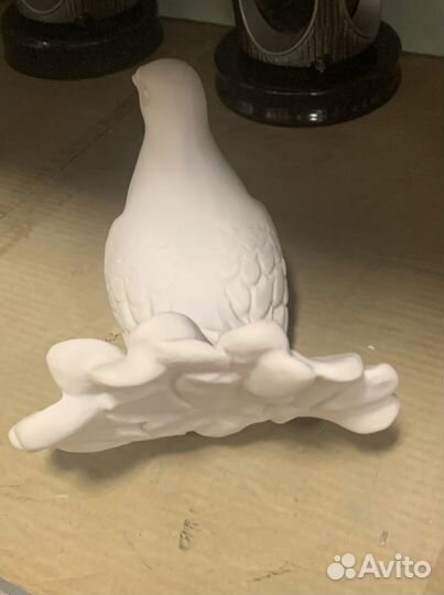 Голубь белый мраморный