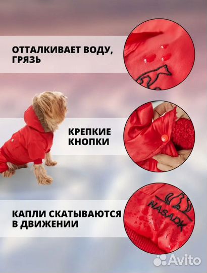 Комбинезон для животных