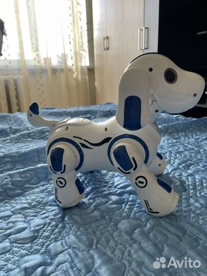 Собака-робот