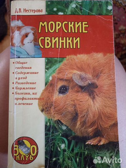 Книга про морских свинок