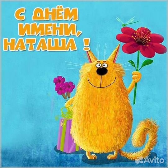 Продам комнатные растения