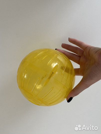 Прогулочный шар для джунгарика/сирийского хомяка