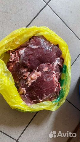 Продам мясо говядина