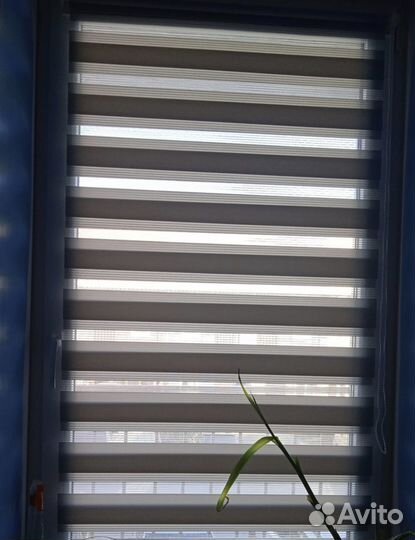 Рулонные шторы зебра