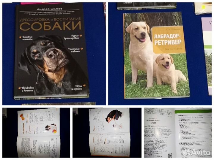 Книги Ланшафт,Вязание,Вышивка,Дресировка