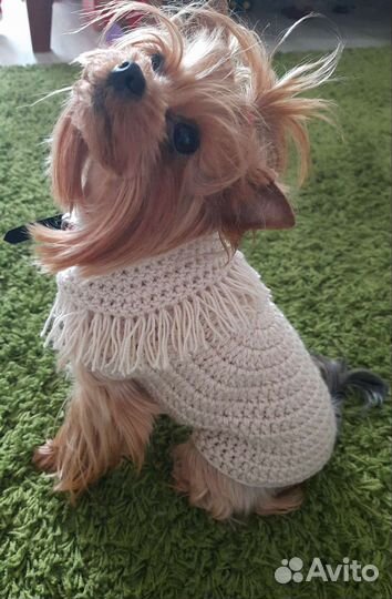 Свитер, жилетка для собачки